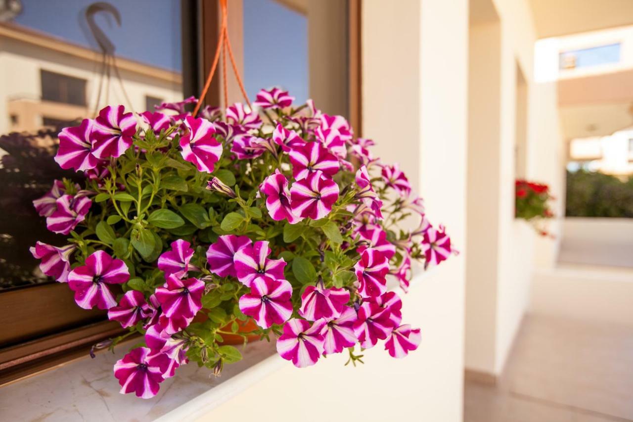 Dafni Villa 19 Paralímni Extérieur photo